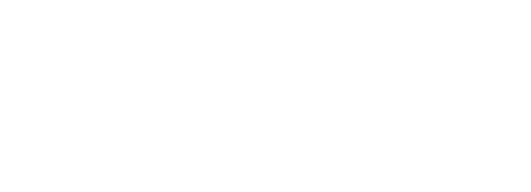 Birkman Logo
