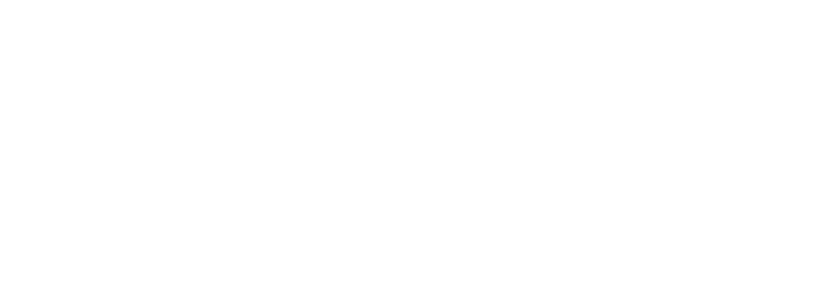 Birkman Logo